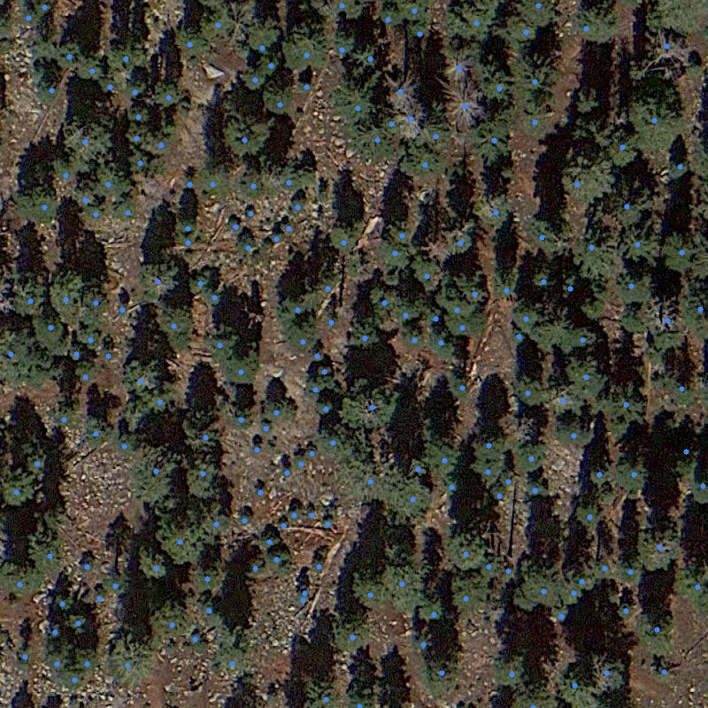 sample_image