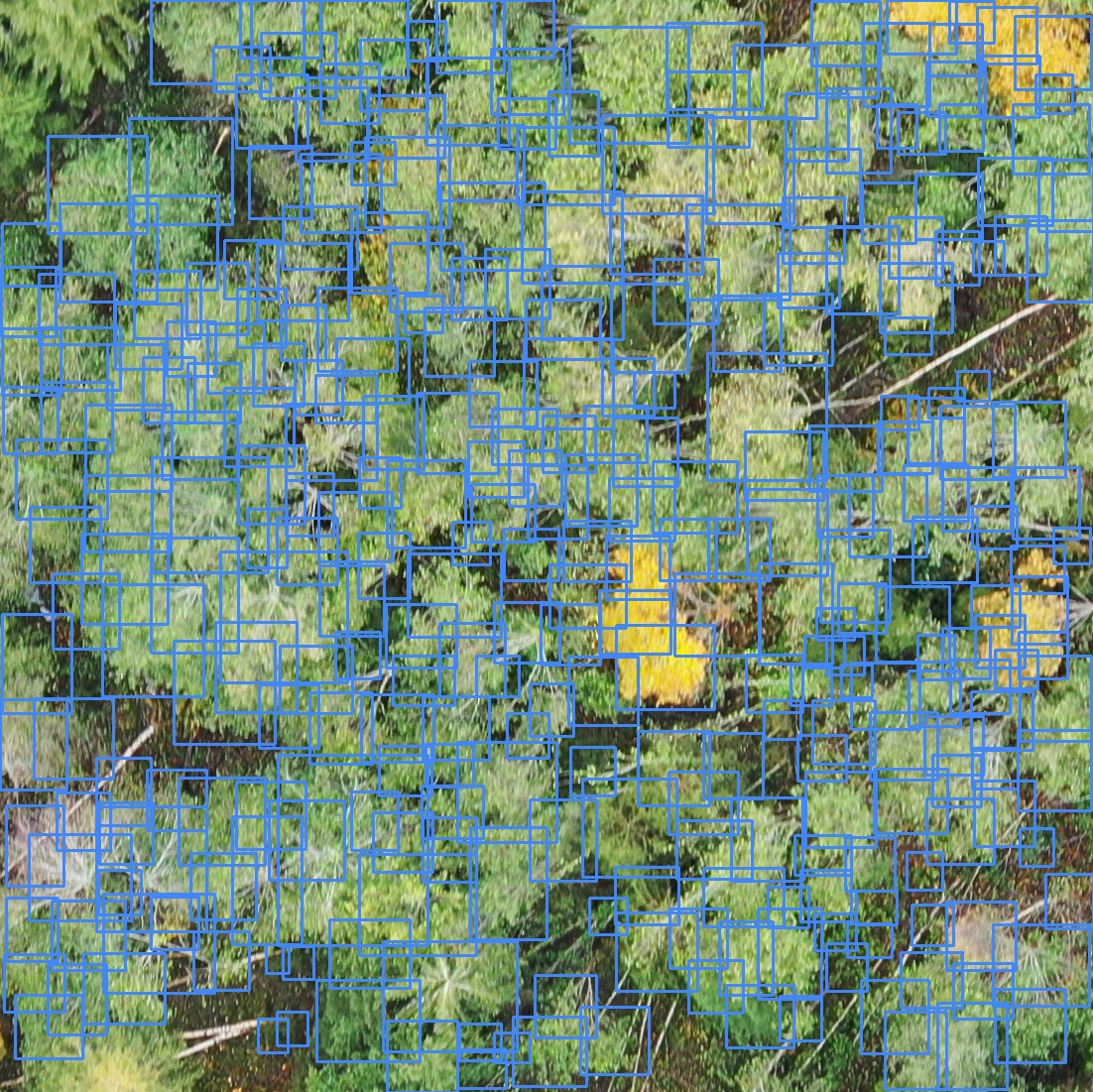 sample_image
