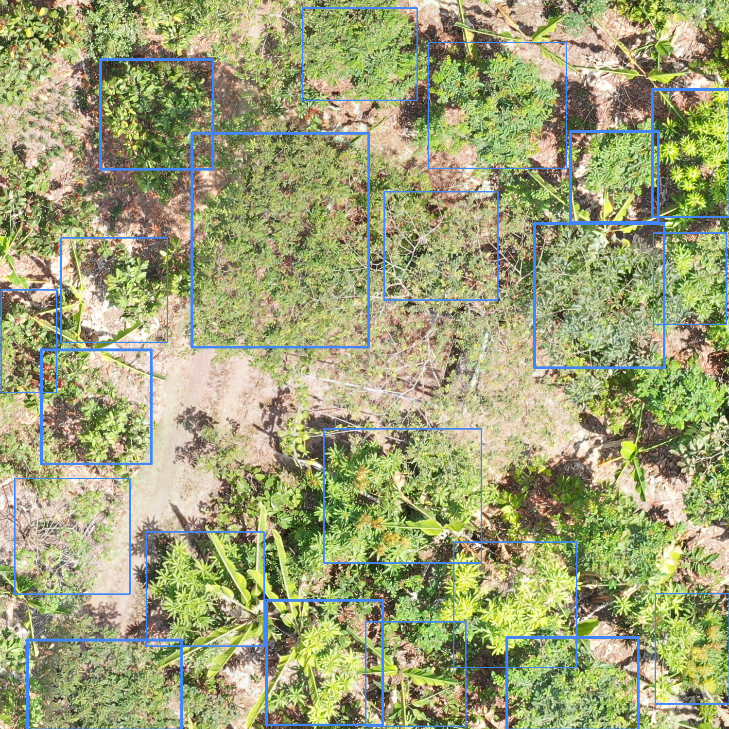 sample_image