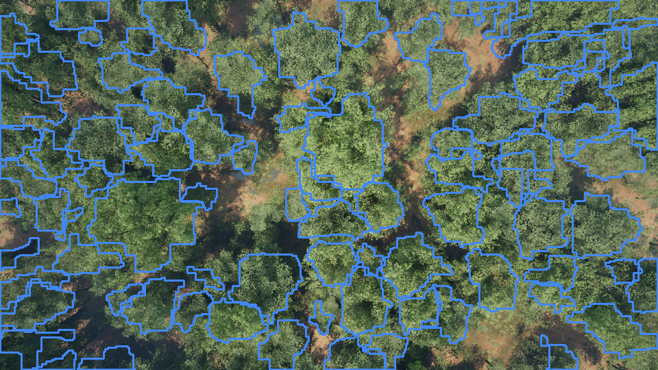 sample_image
