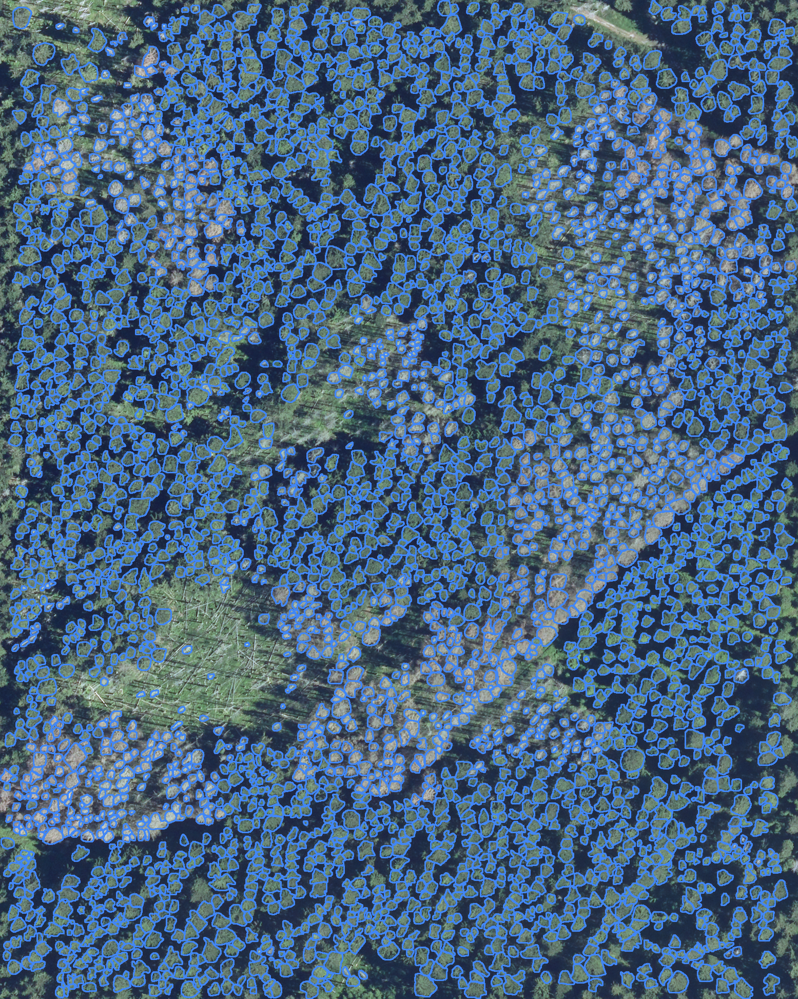 sample_image
